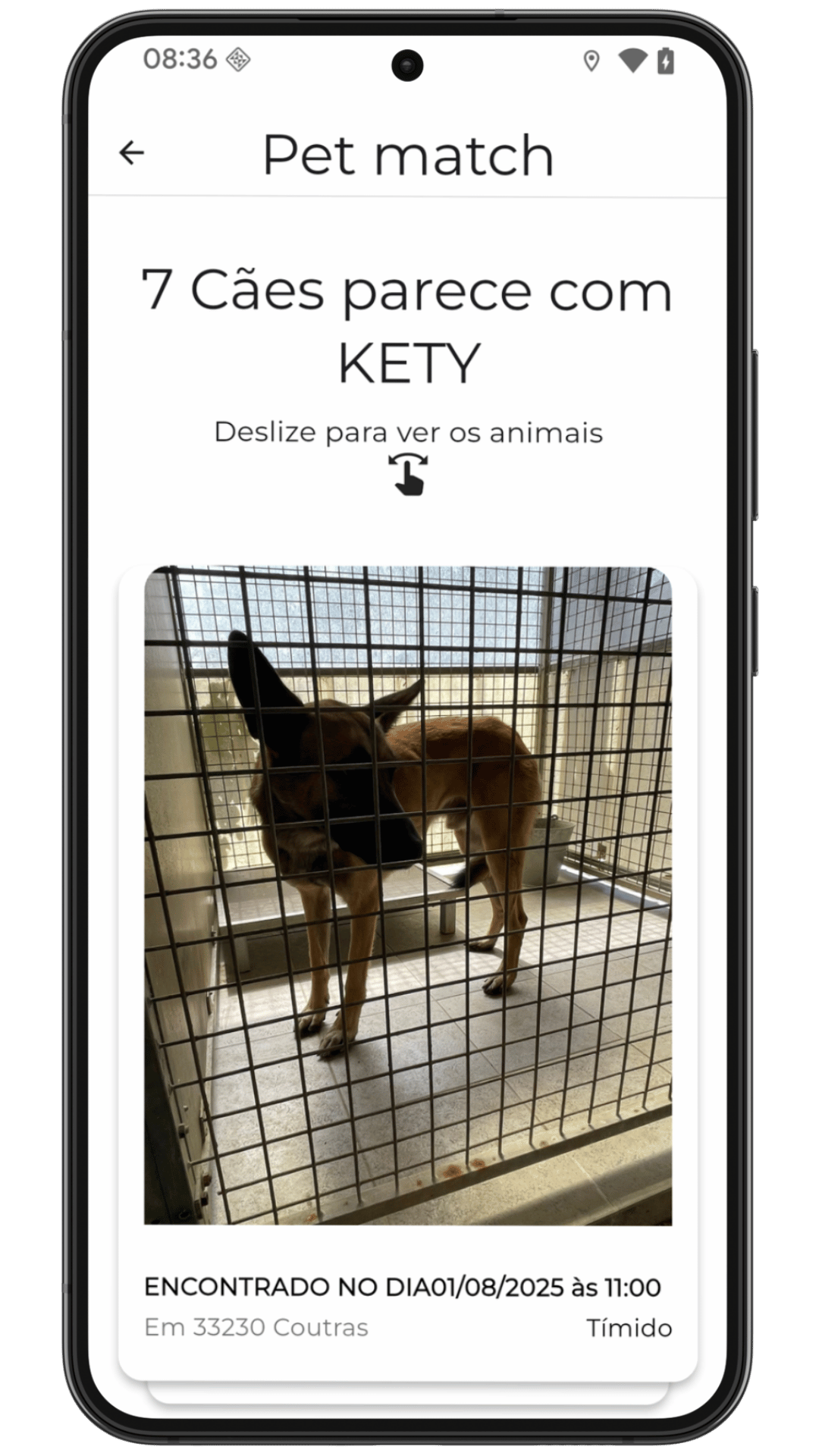 Pet Match